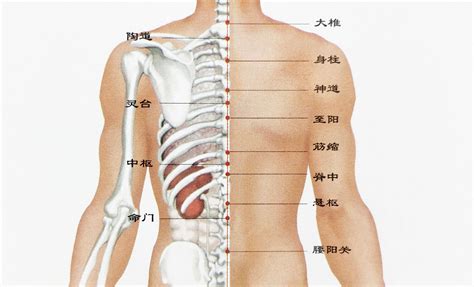 脊椎上有痣|【脊椎上有痣】脊椎上冒痣，財富地位都不同！後背各部位痣相圖。